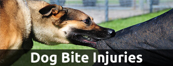 dog bite injuries
